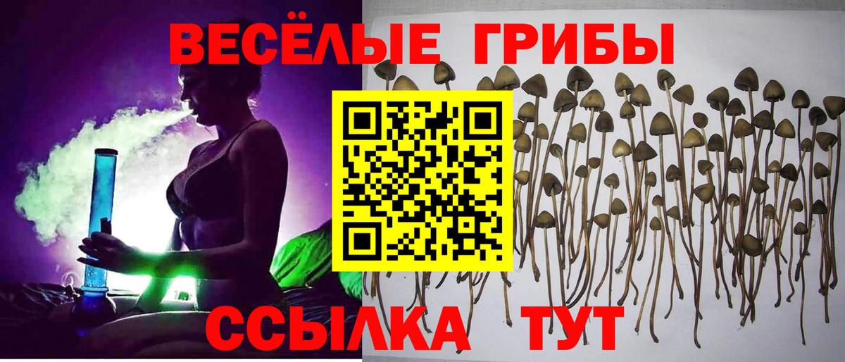 Галлюциногенные грибы мухоморы Семёнов